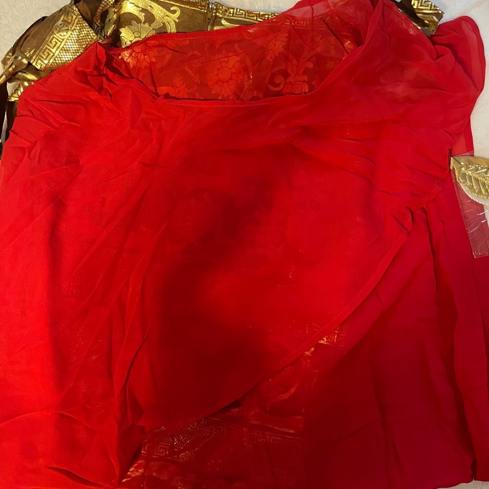 NWT Mens Julius Caesar Costume Size Large - Picture 7 of 12